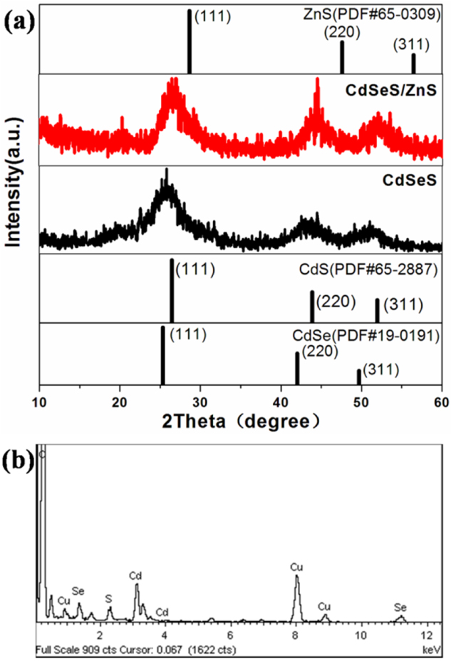 High quantum-yield CdSexS1−x/ZnS core/shell quantum dots for warm white ...