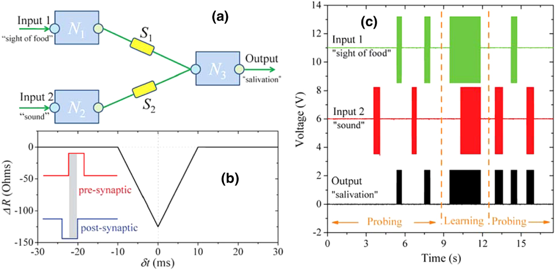 Synaptic Rig Synaptic electronics: materials, devices and applications - IOPscience