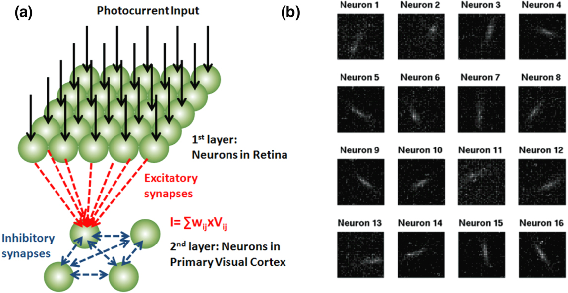 Synapse Machine Synaptic electronics: materials, devices and applications - IOPscience