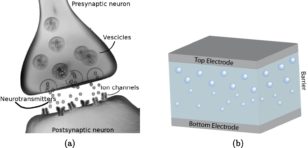 Integration of nanoscale memristor synapses in neuromorphic computing ...