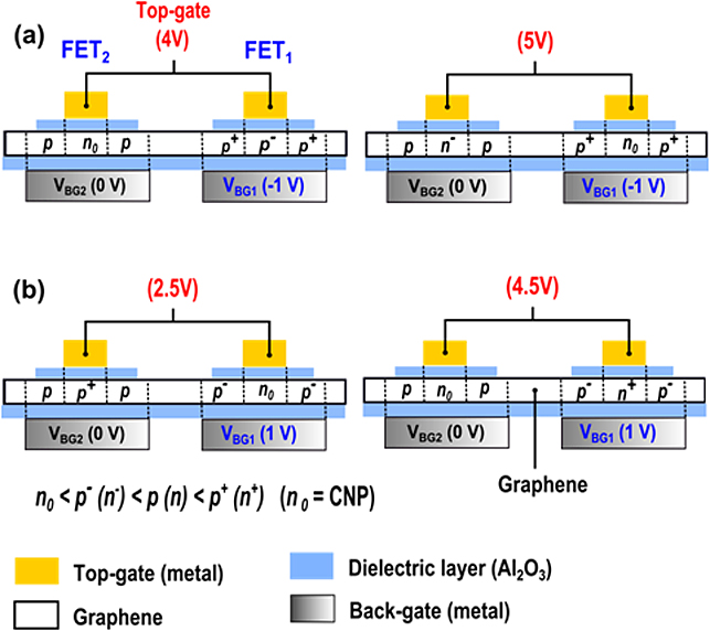 Local Graphite Gate Highly tunable local gate controlled complementary graphene device ...