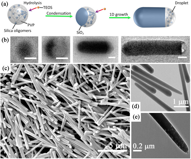 Kinetically-controlled template-free synthesis of hollow silica micro ...