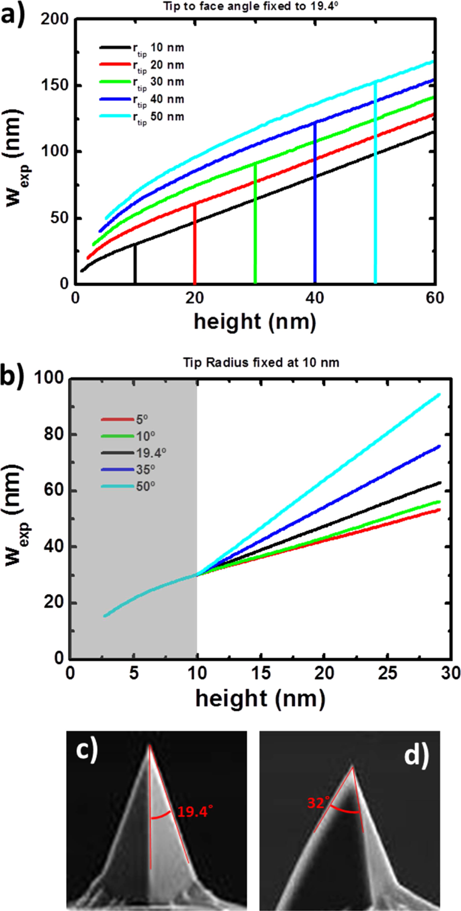 Tip Convolution Effect Correction of the tip convolution effects in the imaging of ...