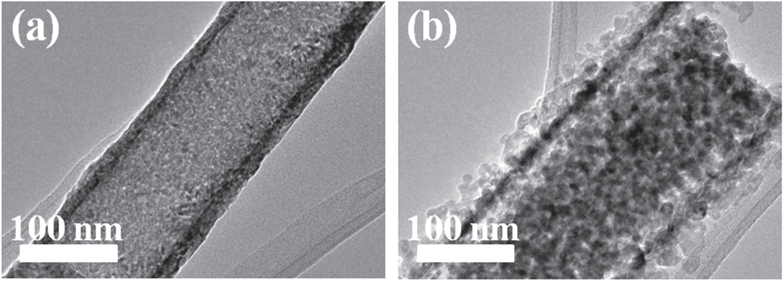 Tio2 Nano Ring Aligned TiO2 nanotube/nanoparticle heterostructures with enhanced ...
