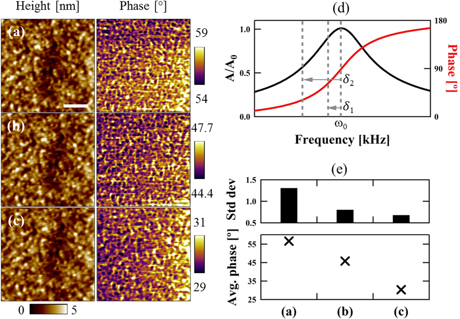 Optimization of the excitation frequency for high probe sensitivity in ...