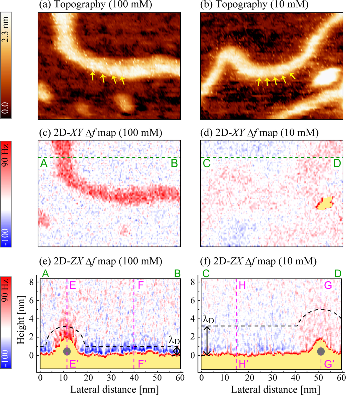 Molecular-scale quantitative charge density measurement of