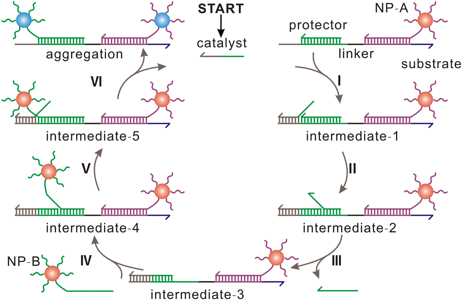 Neodebrid Alternative The combination of gold nanorods and nanoparticles with DNA nanodevices ...