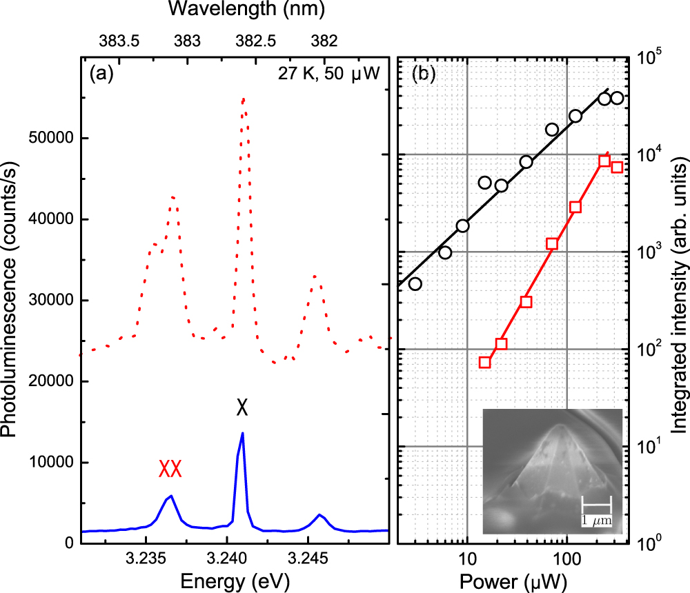 Polarized single photon emission and photon bunching from an InGaN ...