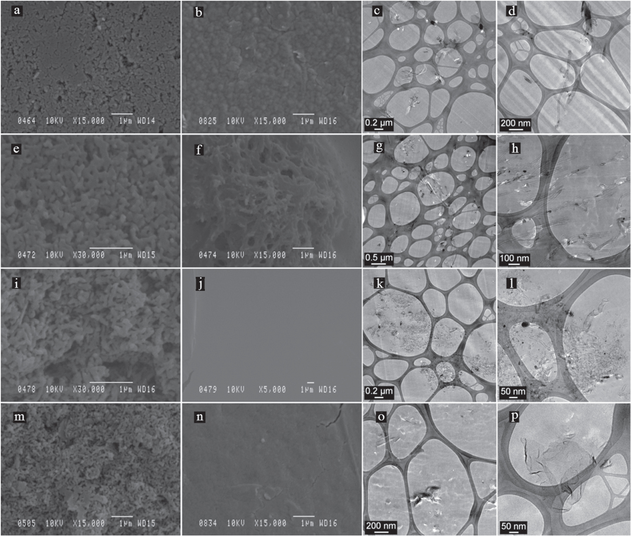 The effect of carbon nanofillers on the performance of ...