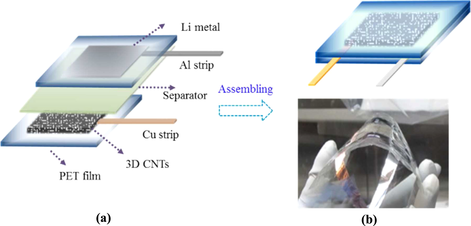 Three-dimensional free-standing carbon nanotubes for a flexible lithium ...