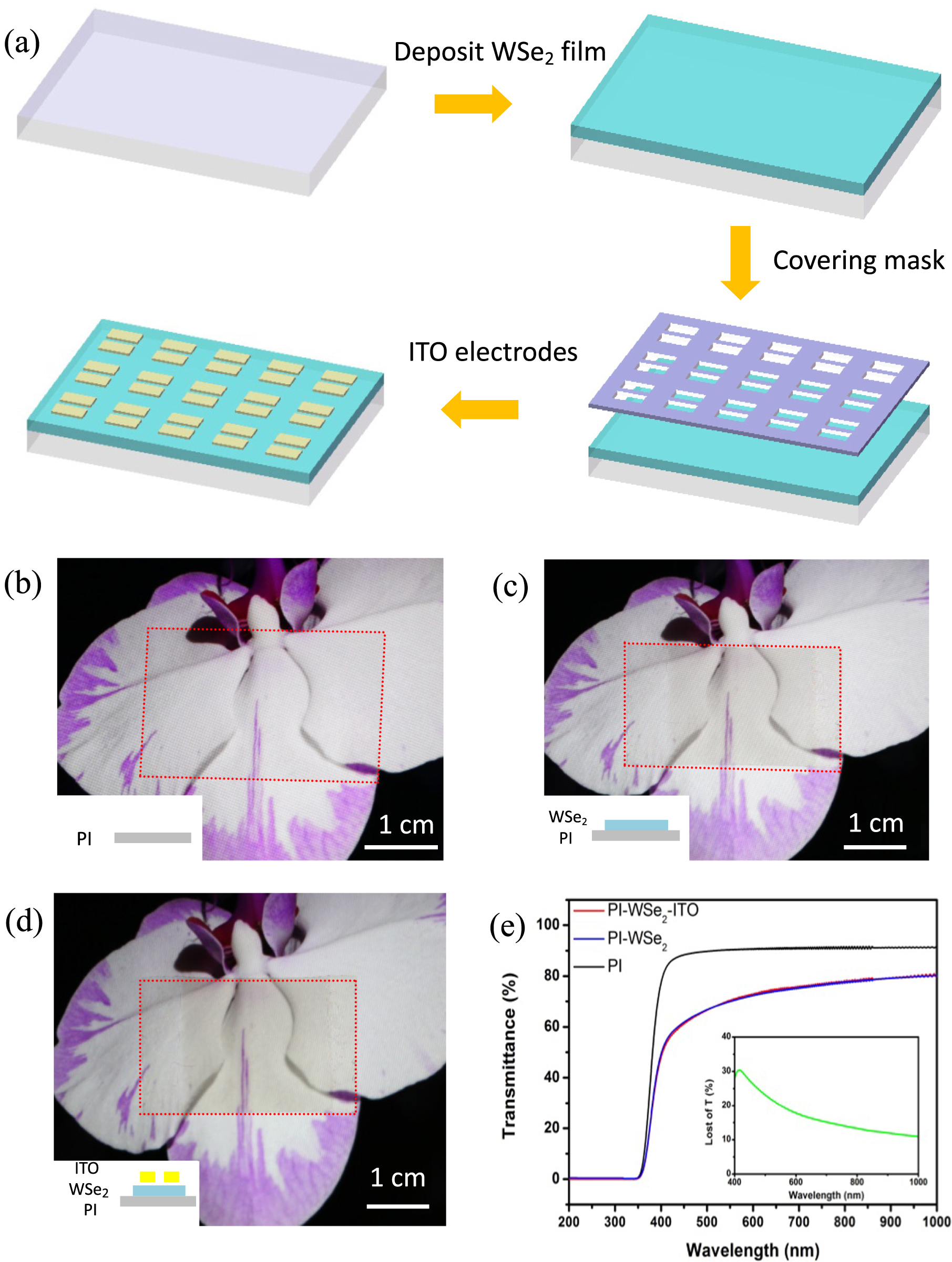 Flexible, transparent and ultra-broadband photodetector based on large ...