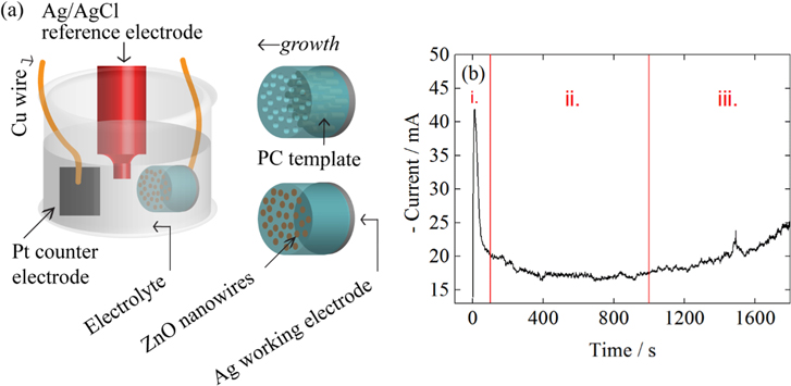 Vertically aligned zinc oxide nanowires electrodeposited within porous ...