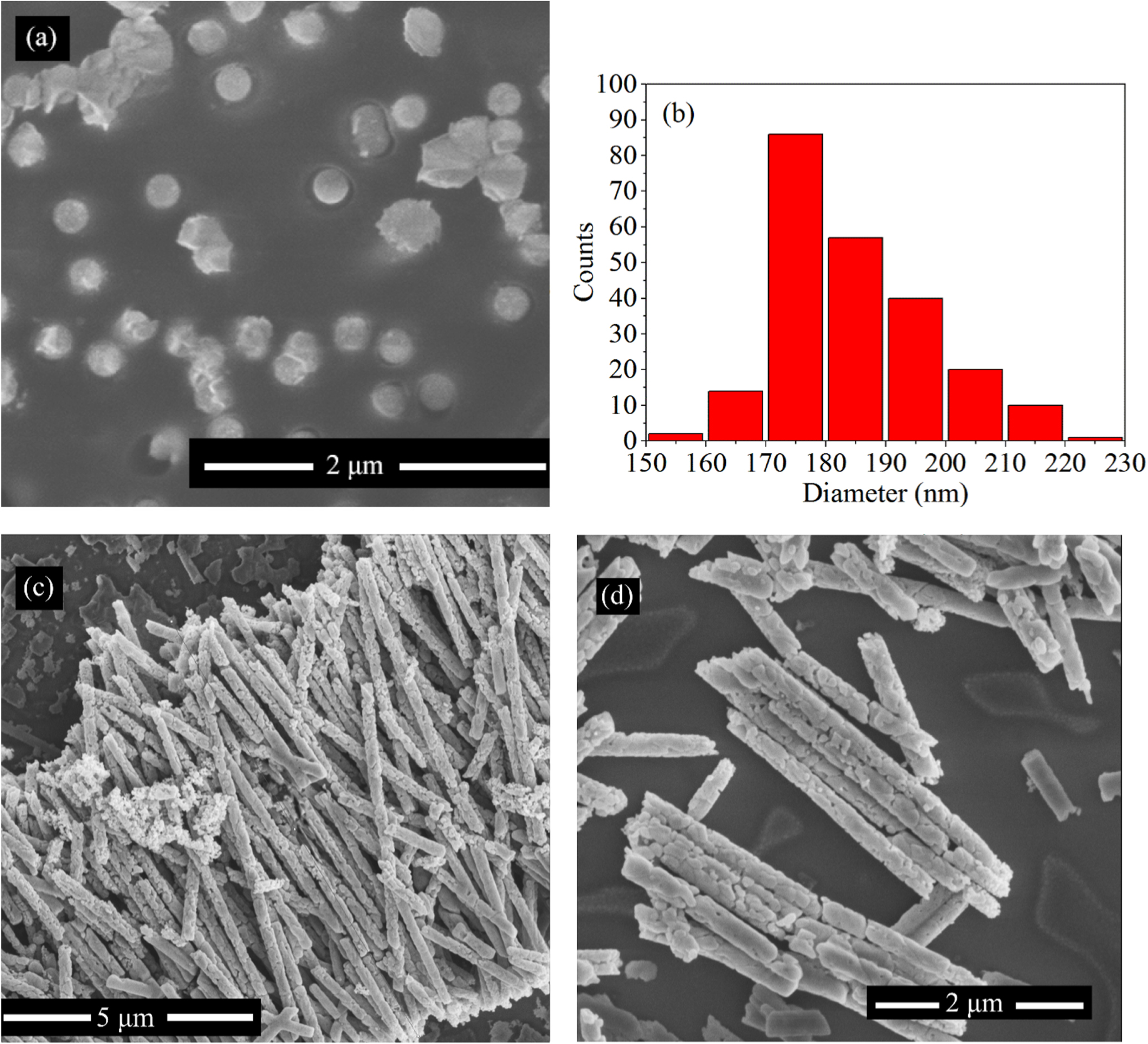 Vertically aligned zinc oxide nanowires electrodeposited within porous ...