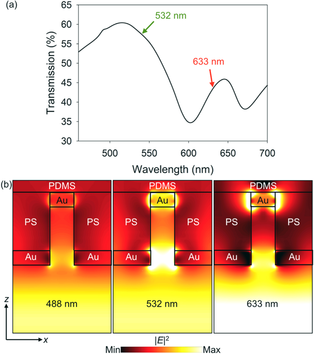 Sub-100 nm gold nanohole-enhanced Raman scattering on flexible PDMS ...