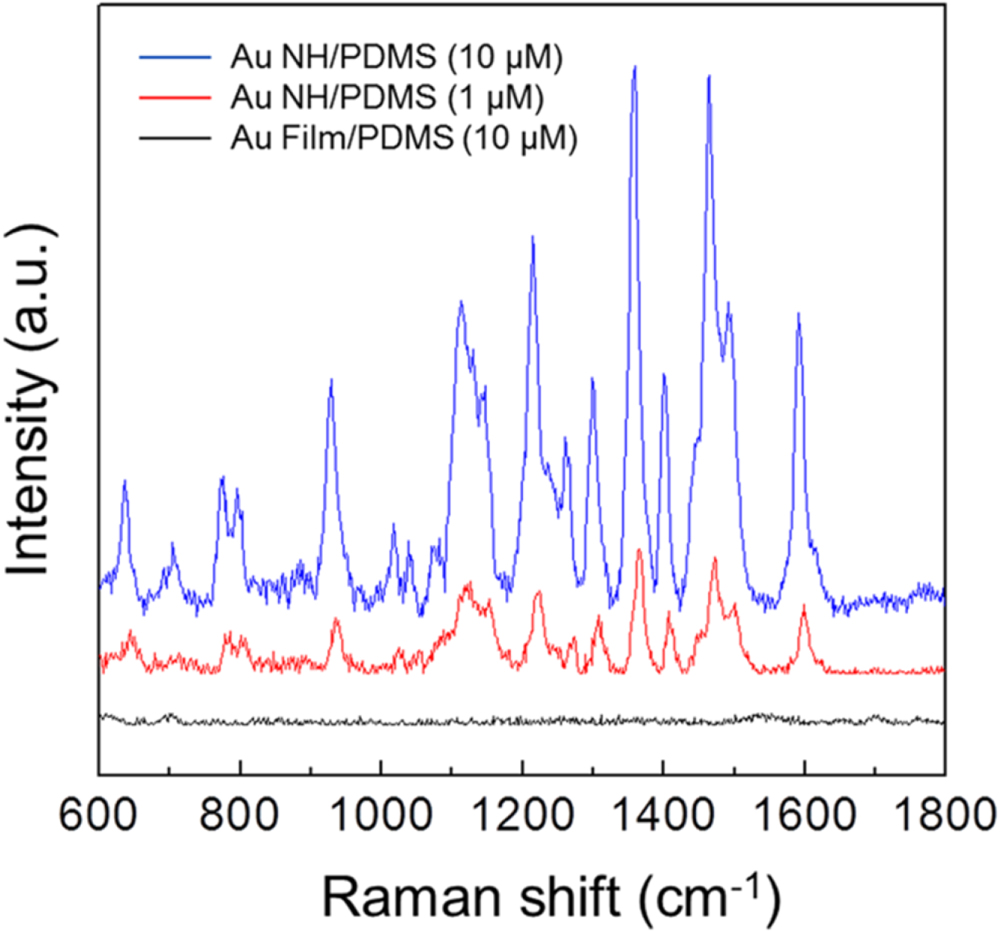 Sub-100 nm gold nanohole-enhanced Raman scattering on flexible PDMS ...