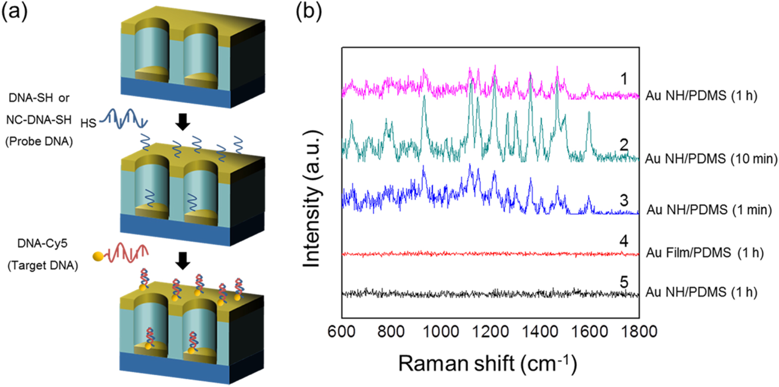 Sub-100 nm gold nanohole-enhanced Raman scattering on flexible PDMS ...