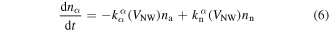 Equation (6)
