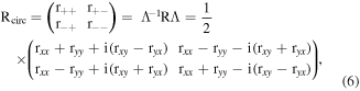 Equation (6)