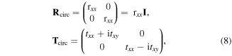 Equation (8)