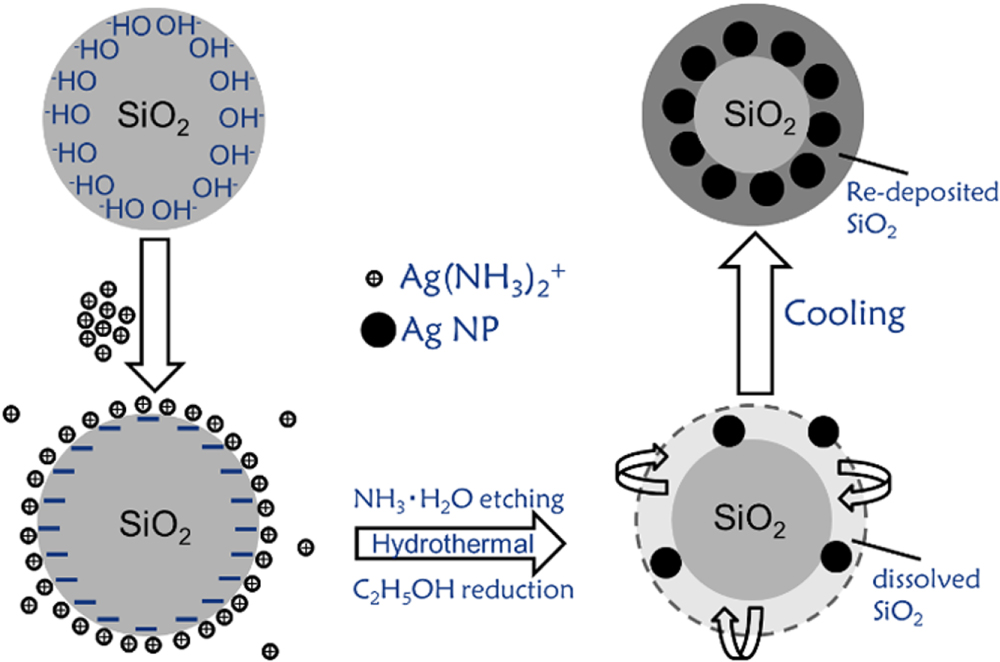 SiO2–Ag–SiO2 core/shell structure with a high density of Ag ...
