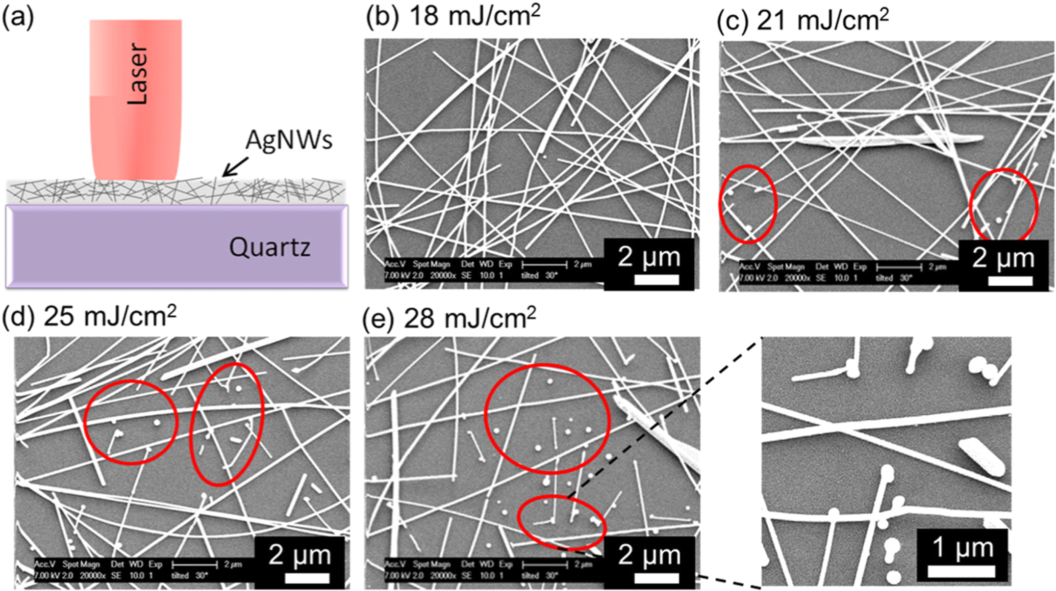 Stretchable and transparent electrodes based on patterned silver ...