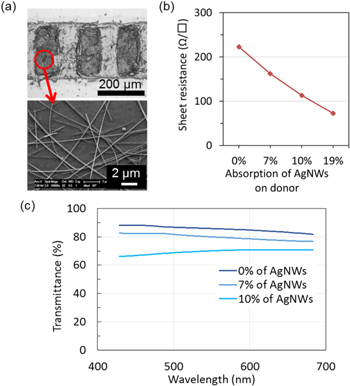 Stretchable and transparent electrodes based on patterned silver ...