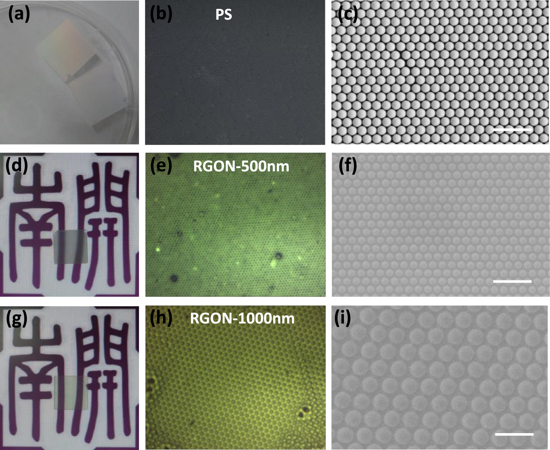 Reduced graphene oxide nanoshells for flexible and stretchable ...
