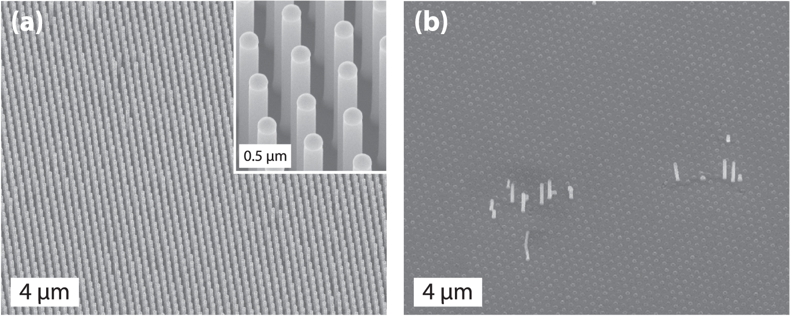 Absorption and transmission of light in III–V nanowire arrays for ...