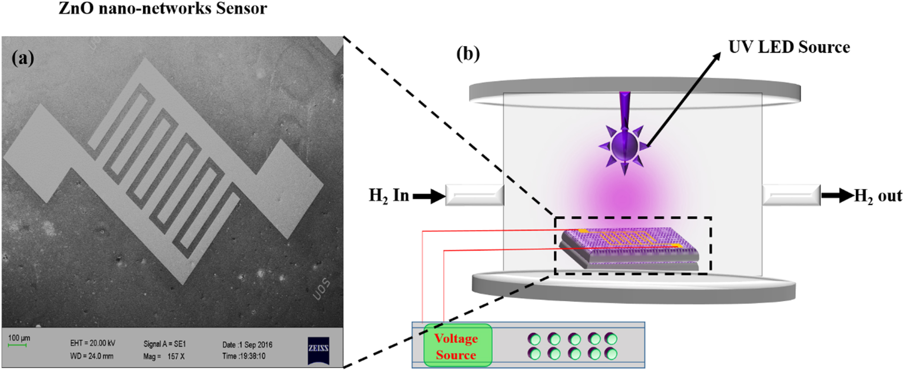 Efficient room temperature hydrogen sensor based on UV-activated ZnO ...
