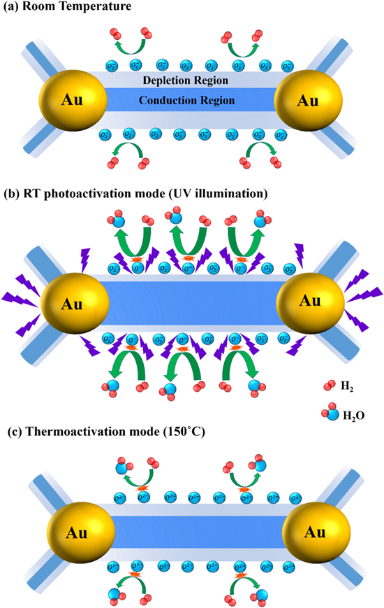 Efficient room temperature hydrogen sensor based on UV-activated ZnO ...