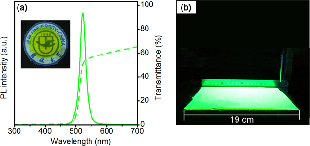 Highly luminescent, stable, transparent and flexible perovskite quantum ...