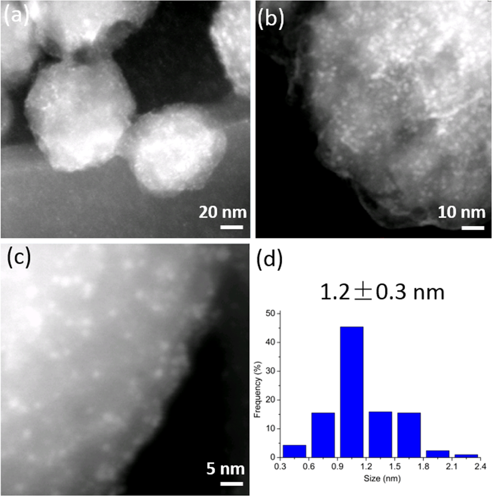 Fine Metal Particles In situ biosynthesis of ultrafine metal nanoparticles within a metal ...