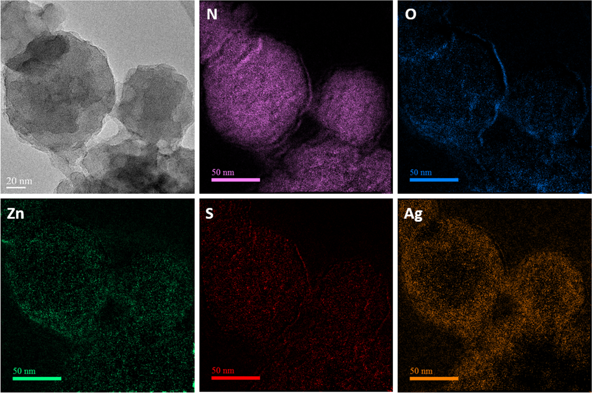 Fine Metal Particles In situ biosynthesis of ultrafine metal nanoparticles within a metal ...