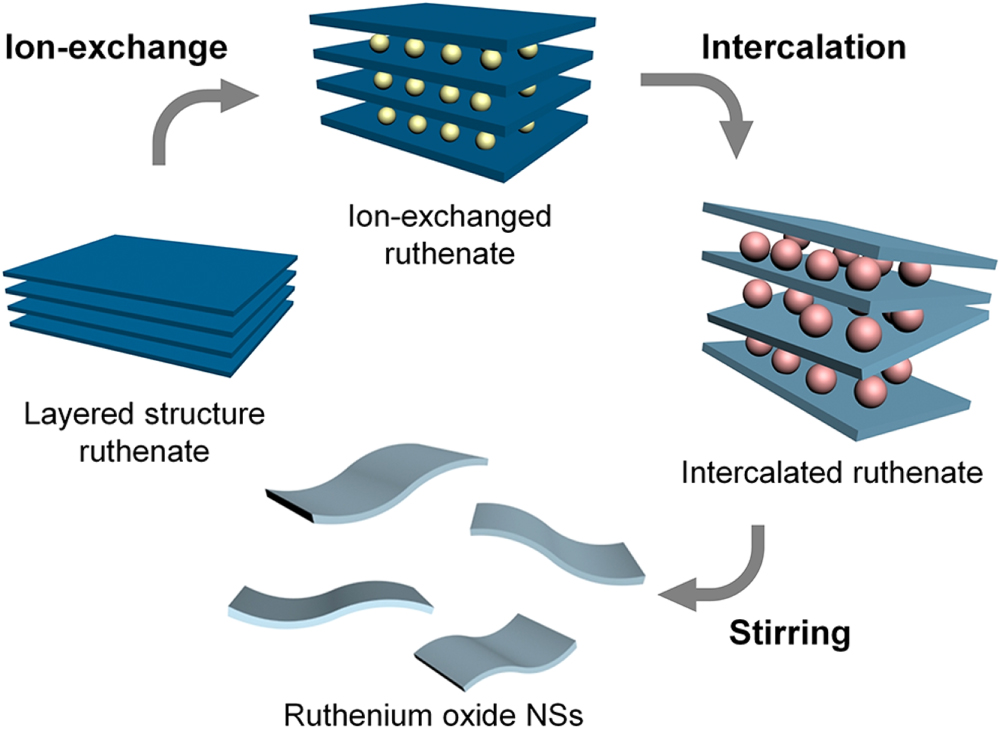 Ambipolar thermoelectric power of chemically-exfoliated RuO2 nanosheets ...