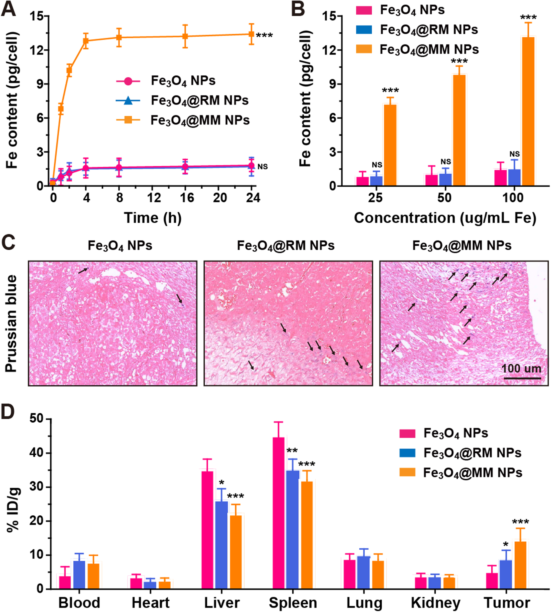 Macrophage membrane-coated iron oxide nanoparticles for enhanced ...