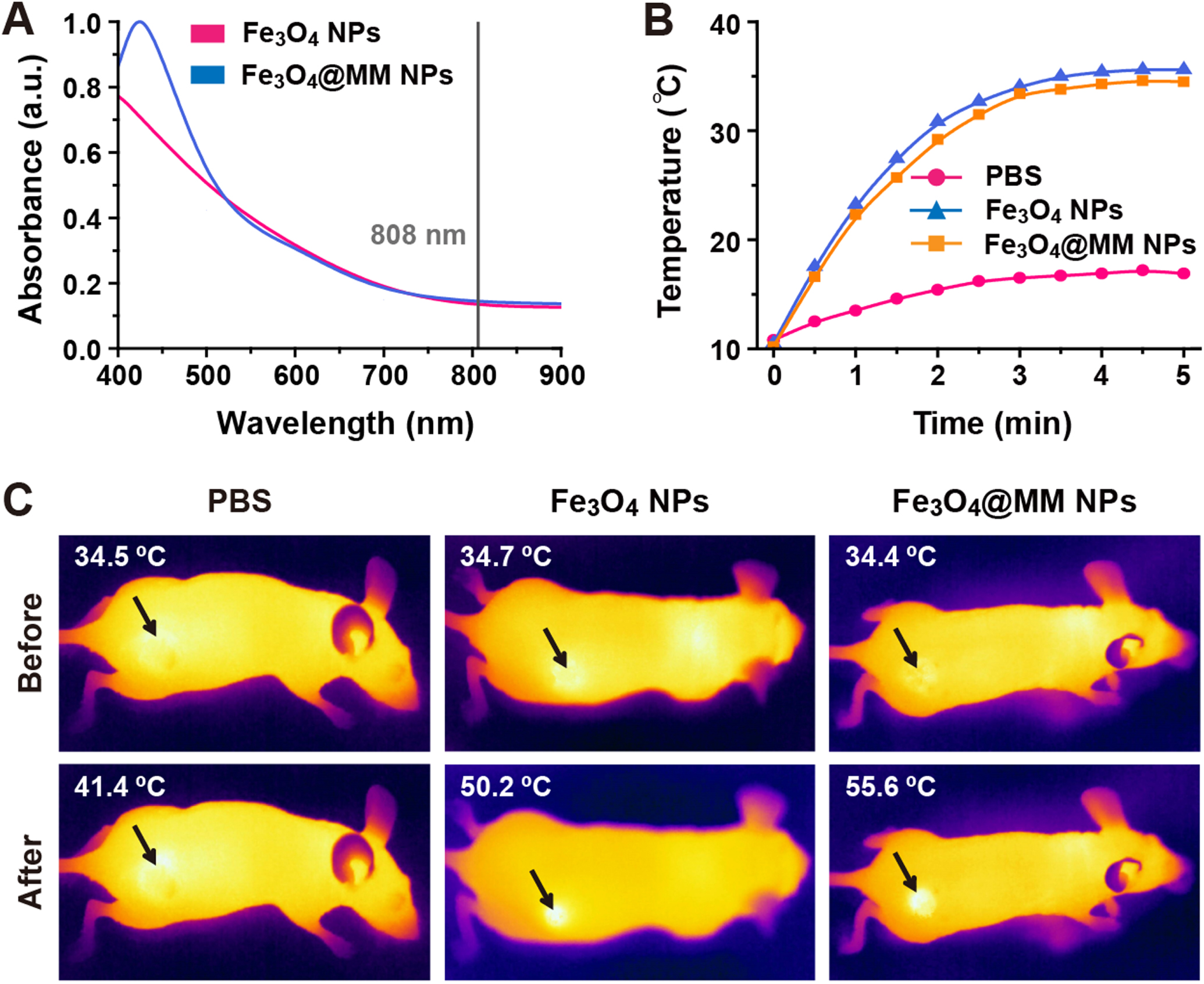 Macrophage membrane-coated iron oxide nanoparticles for enhanced ...