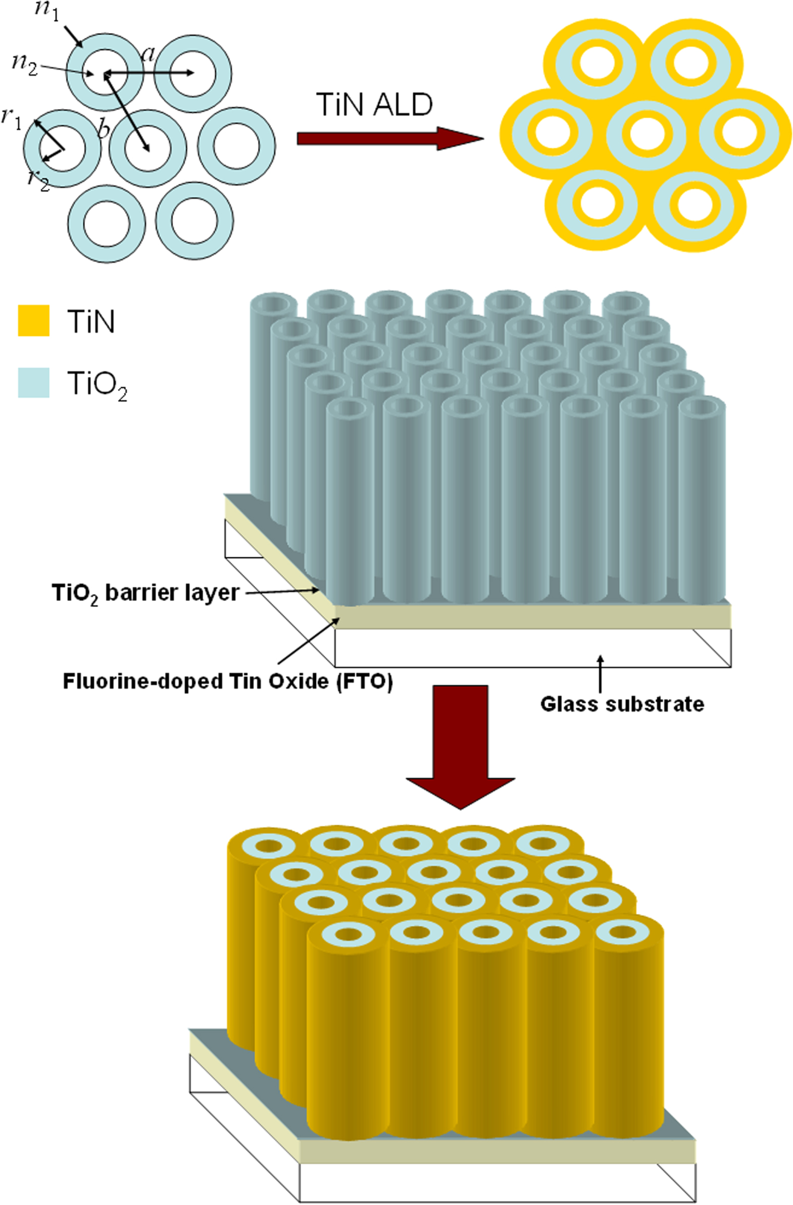 Tio2 Nano Ring Core–shell titanium dioxide–titanium nitride nanotube arrays with near ...