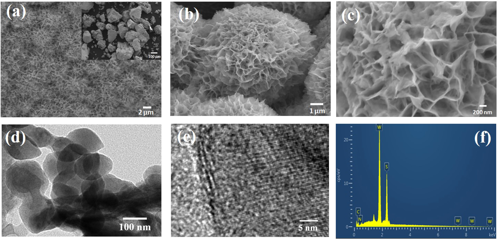 Hydrothermal synthesis of stable metallic 1T phase WS2 nanosheets for ...