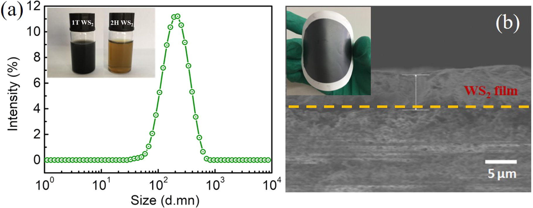 Hydrothermal synthesis of stable metallic 1T phase WS2 nanosheets for ...