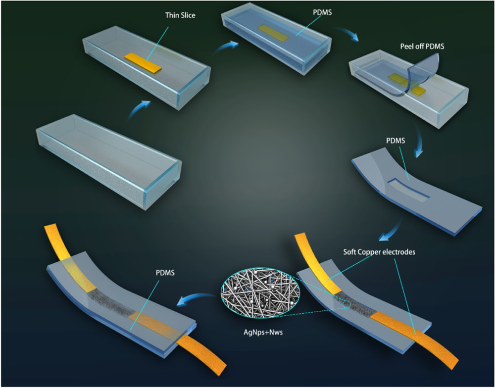 Highly sensitive wearable strain sensor based on silver nanowires and ...