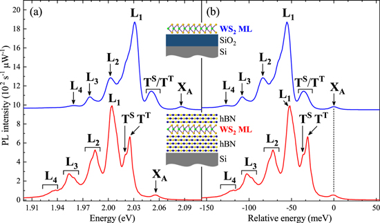 Singlet and triplet trions in WS2 monolayer encapsulated in hexagonal ...