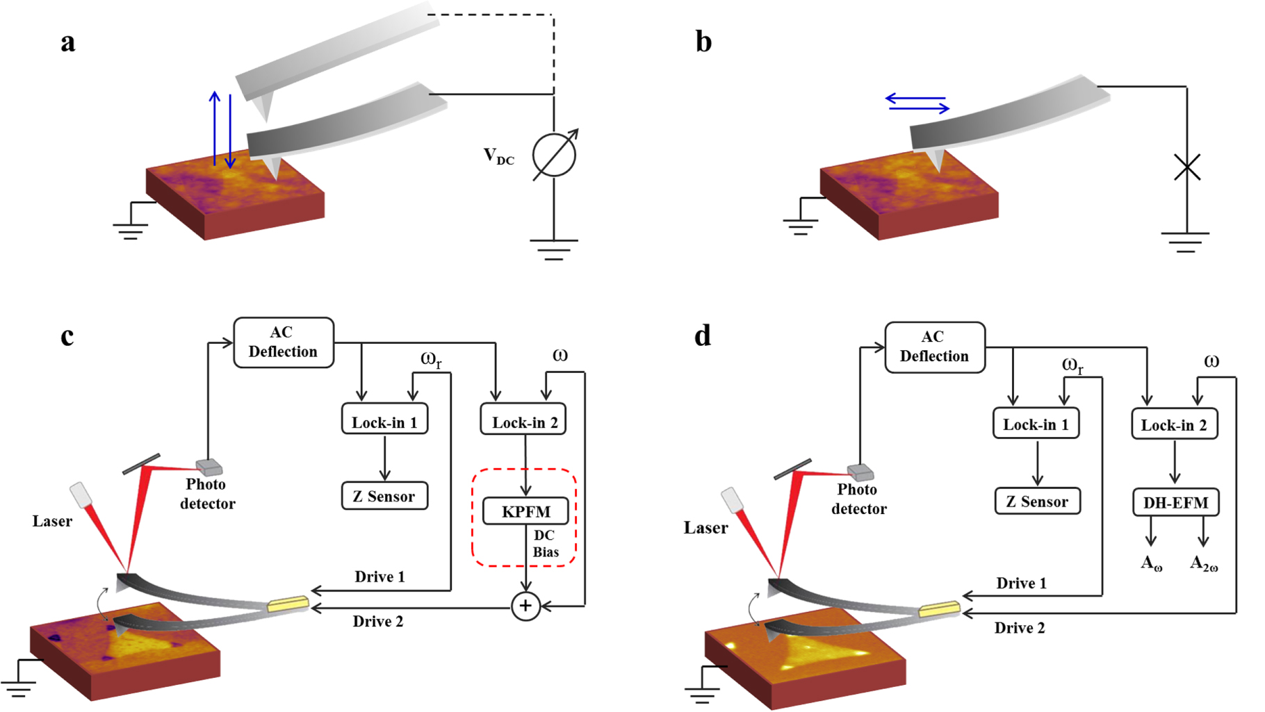 Nanoscale charge transfer and diffusion at the MoS2/SiO2 interface by ...