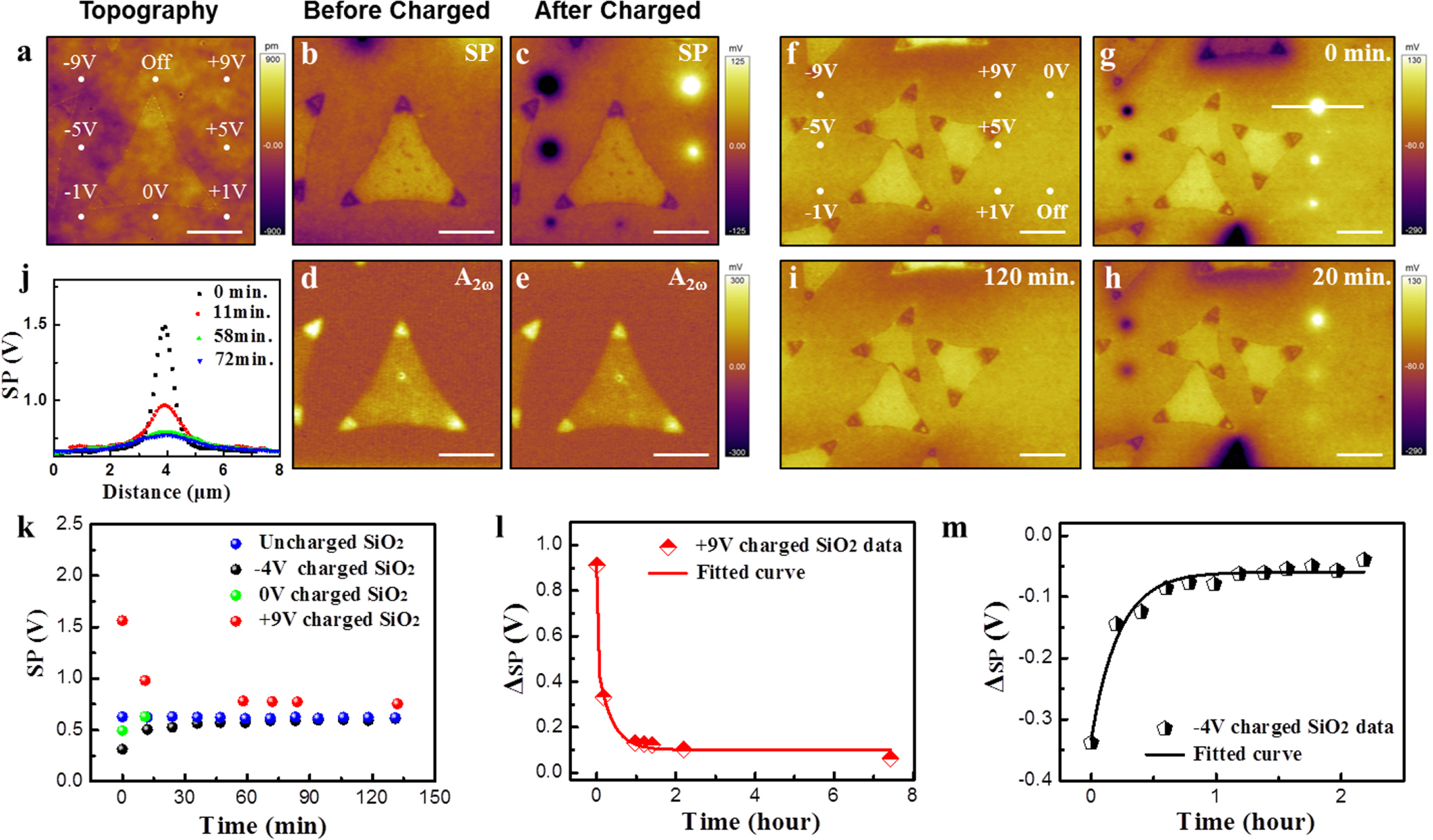 Nanoscale charge transfer and diffusion at the MoS2/SiO2 interface by ...