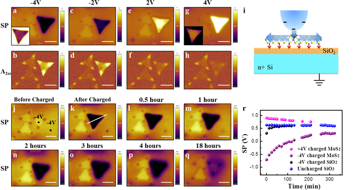 Nanoscale charge transfer and diffusion at the MoS2/SiO2 interface by ...