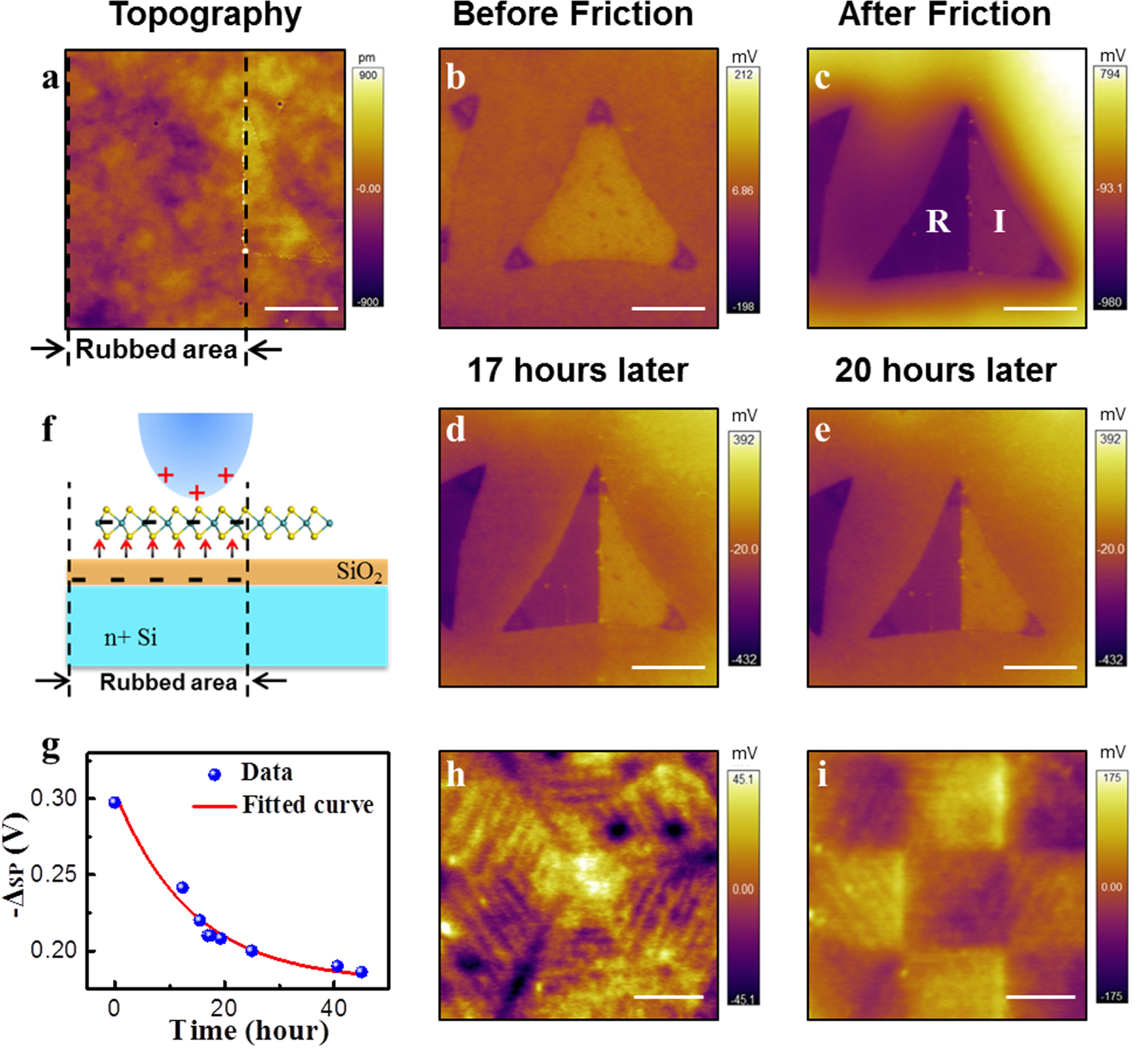 Nanoscale charge transfer and diffusion at the MoS2/SiO2 interface by ...
