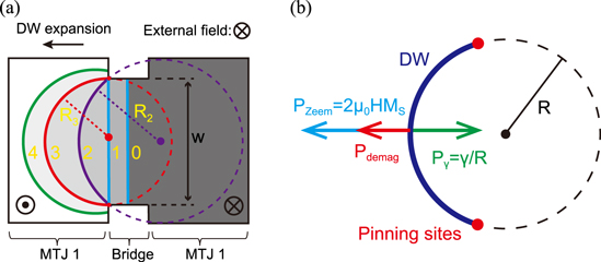 Magnetoresistive sensors based on the elasticity of domain walls ...