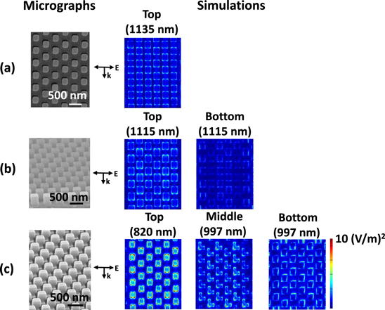 Label-free detection of live cancer cells and DNA hybridization using ...