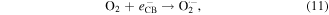 Equation (11)