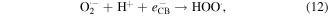 Equation (12)