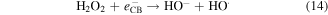 Equation (14)